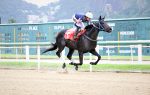 Galeria de Fotos – Confira os vencedores deste DOMINGO (09) no JCB