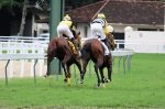 Geração 2019 – Treinadores falam sobre seus estreantes