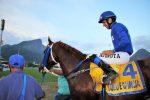 Uttori e Culo e Camicia estreiam domingo em Hong Kong