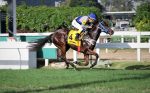 Equilíbrio marca o GP Roger Guedon (G3)