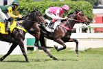 Galeria de Fotos – Confira os vencedores deste DOMINGO (23) no JCB