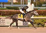 Festival da Pegasus World Cup, a atração do sábado na tela da Tv Turfe