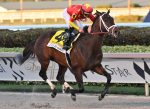 Life Is Good, exibição de gala na Pegasus World Cup