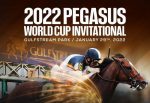 Nove concorrentes na Pegasus World Cup 2022