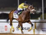 Silvestre de Sousa vence G1 em Riad