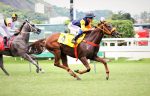 Galeria de Fotos – Confira os vencedores deste DOMINGO (06) no JCB