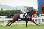 Veja a lista completa dos classificados para a grande final da Copa Precocidade e Velocidade ABCPCC