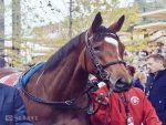 Juddmonte confirma que Enable será coberta por Dubawi