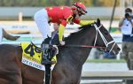 Life Is Good confirmado na Dubai World Cup