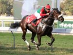 Brasileira Octane estreia sábado (12), em Santa Anita Park