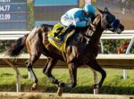 Bob Baffert leva Pinehurst ao Saudi Derby