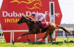 Sovereign, um ganhador do Irish Derby ingressa na reprodução argentina