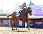 Gamine será coberta por Quality Road