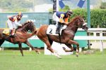 Galeria de Fotos – Confira os vencedores deste DOMINGO (13) no JCB