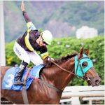 Pedigree da semana: Jumping Flight