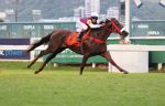 Just Like está fora do GP Diana – Araras Blood & Power (G1)