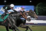 P.E. Agnes Gold: Plata Pura resiste a Hang Loose