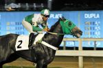 Sem Oceano Azul, GP F. E. e L. E. de P. Machado (G1) – Araras Blood & Power promete desfecho emocionante
