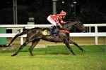 Com o forfait de Just Like, equilíbrio é a tônica do GP Diana (G1) – Araras Blood & Power