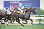 Galeria de Fotos – Confira os vencedores deste DOMINGO (13) no JCB