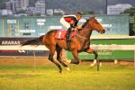 Galeria de Fotos – Confira os vencedores deste DOMINGO (20) no JCB