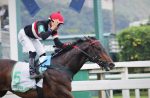 Final da I Copa Precocidade e Velocidade ABCPCC é atração do simulcasting com Cidade Jardim