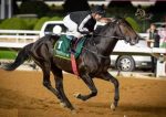 Aero Trem convidado para a Dubai World Cup
