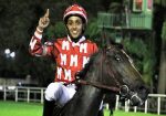 Bruno Queiroz monta High Wire no GP Diana – Araras Blood & Power (G1)