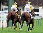 Pla6 retorna no domingo (27)