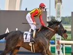 Quality Boone (criação Araras) faz quinto no UAE Derby (G2), vitória fica com Crown Pride