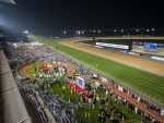 A partir das 9h35, do sábado (05), Tv Turfe transmite o Festival da 29ª Dubai World Cup