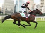 London Moon, do Haras Anderson, o campeão da I Copa Precocidade e Velocidade ABCPCC
