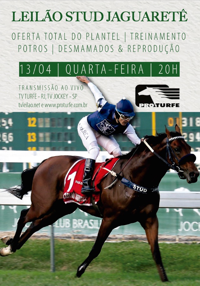 O atributo alt desta imagem está vazio. O nome do arquivo é 1042022195917_CAPA.jpg