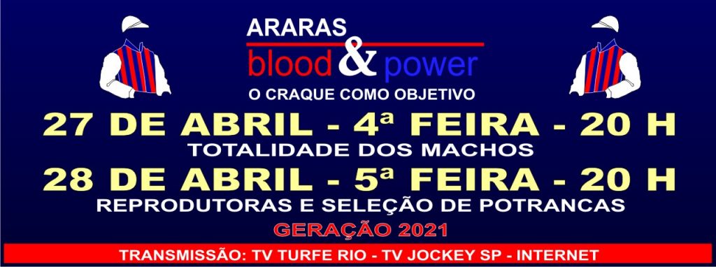 O atributo alt desta imagem está vazio. O nome do arquivo é 20220428ararasbloodpower-1024x382.jpg