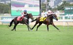 GP Luiz Fernando Cirne Lima (G3): Little Beauty, líder e invicta