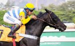 Galeria de Fotos – Confira os vencedores deste DOMINGO (17) no JCB