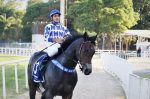 Ice Chocolat estreia nesta quinta-feira (07), em Gulfstream Park