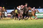 GP Zélia Gonzaga P. de Castro – Araras Blood & Power (G1), o desafio final das potrancas