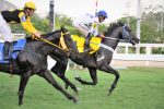 Galeria de Fotos – Confira os vencedores desta SEGUNDA (04) no JCB