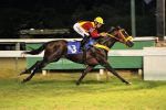 Pequeno contratempo tira In Copa do GP José Paulino Nogueira (G3)