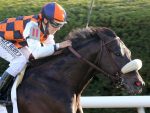 Ivar e In Love, do Stud Rio Dois Irmãos, correm G1 em Keeneland na sexta (15)