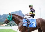 Sábado (02): Tv Turfe exibe Latino e o Florida Derby
