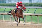 Em busca de seu quinto G1, Letruska corre em Oaklawn Park no sábado (23)