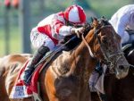 Royal Ship, um vareio no John Shear Mile Stakes