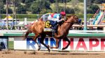 Zandon, Taiba e Mo Donegal vencem as preparatórias para o Kentucky Derby
