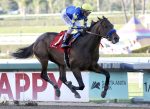 Sábado (09): preparatórias para o Kentucky Derby em destaque na TV Turfe