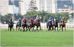 G3 para fêmeas é atração da semana na Gávea
