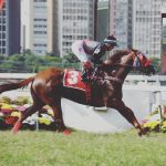 Oriana do Iguassu e Deusa brilham nas provas de G1 em Cidade Jardim