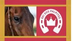 Rei dos Palpites JCB – Resultado de Maio 2022