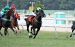 Dupla desclassificação e vitória de Call It Magic no GP Hipódromo da Gávea (G3)